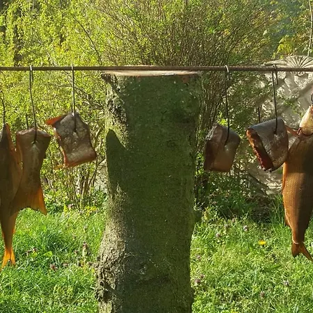 롯지 Nadmorskie Slonce Lubin (West Pomeranian)